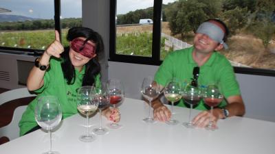 Wine tasting games in the Pagos de Larrainzar winery